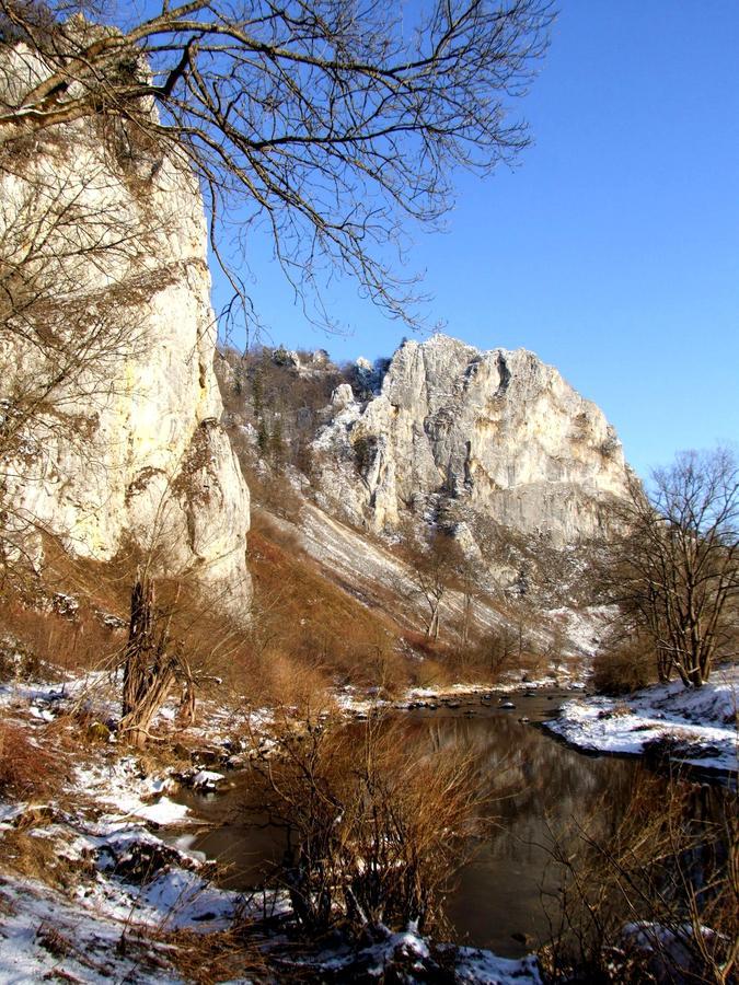 Berghaus Knopfmacher Fridingen an der Donau Eksteriør billede