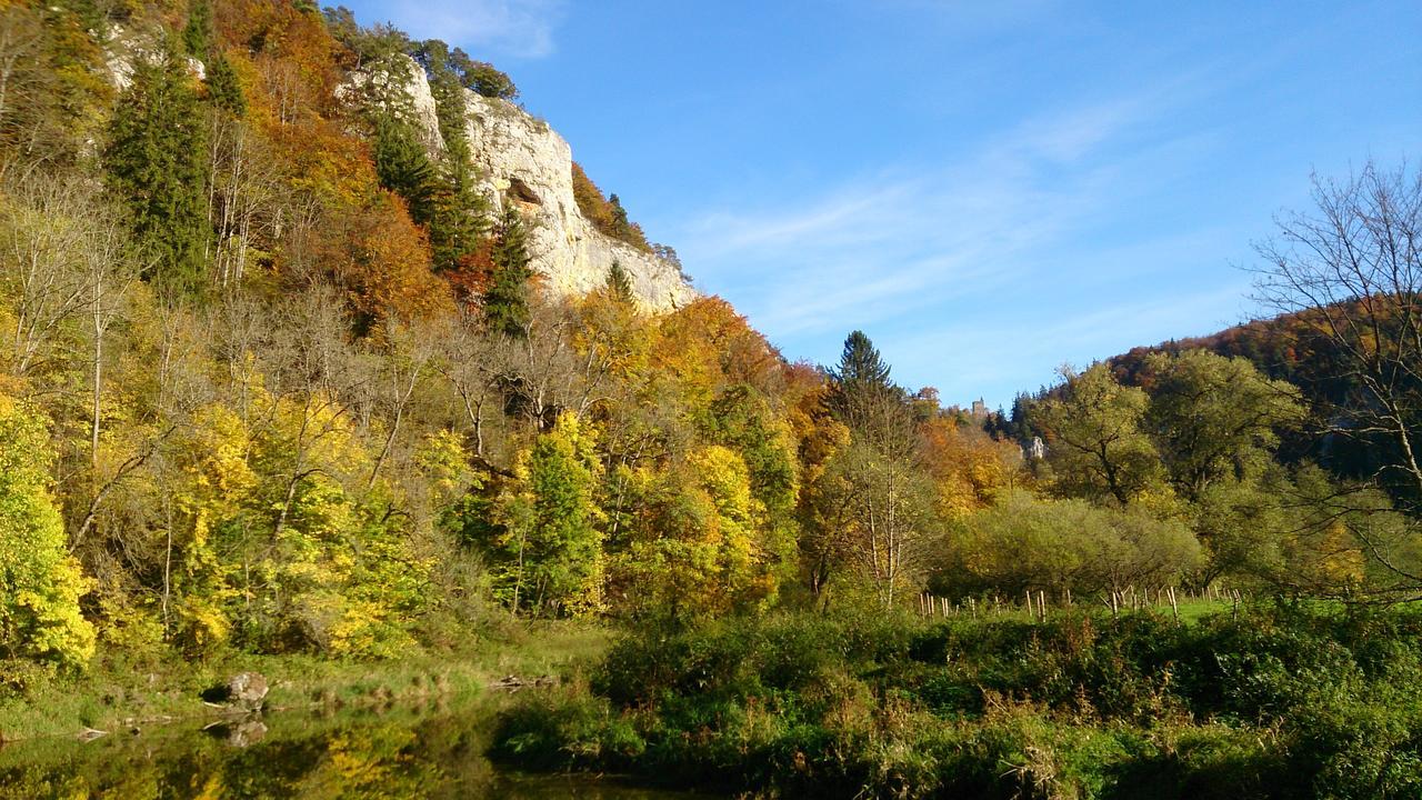 Berghaus Knopfmacher Fridingen an der Donau Eksteriør billede