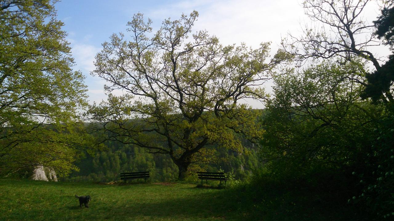 Berghaus Knopfmacher Fridingen an der Donau Eksteriør billede